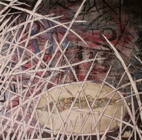 100x100. nascono nuove città 3 -2013