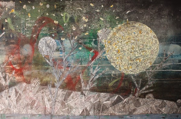 70x120. Meteorita 2013