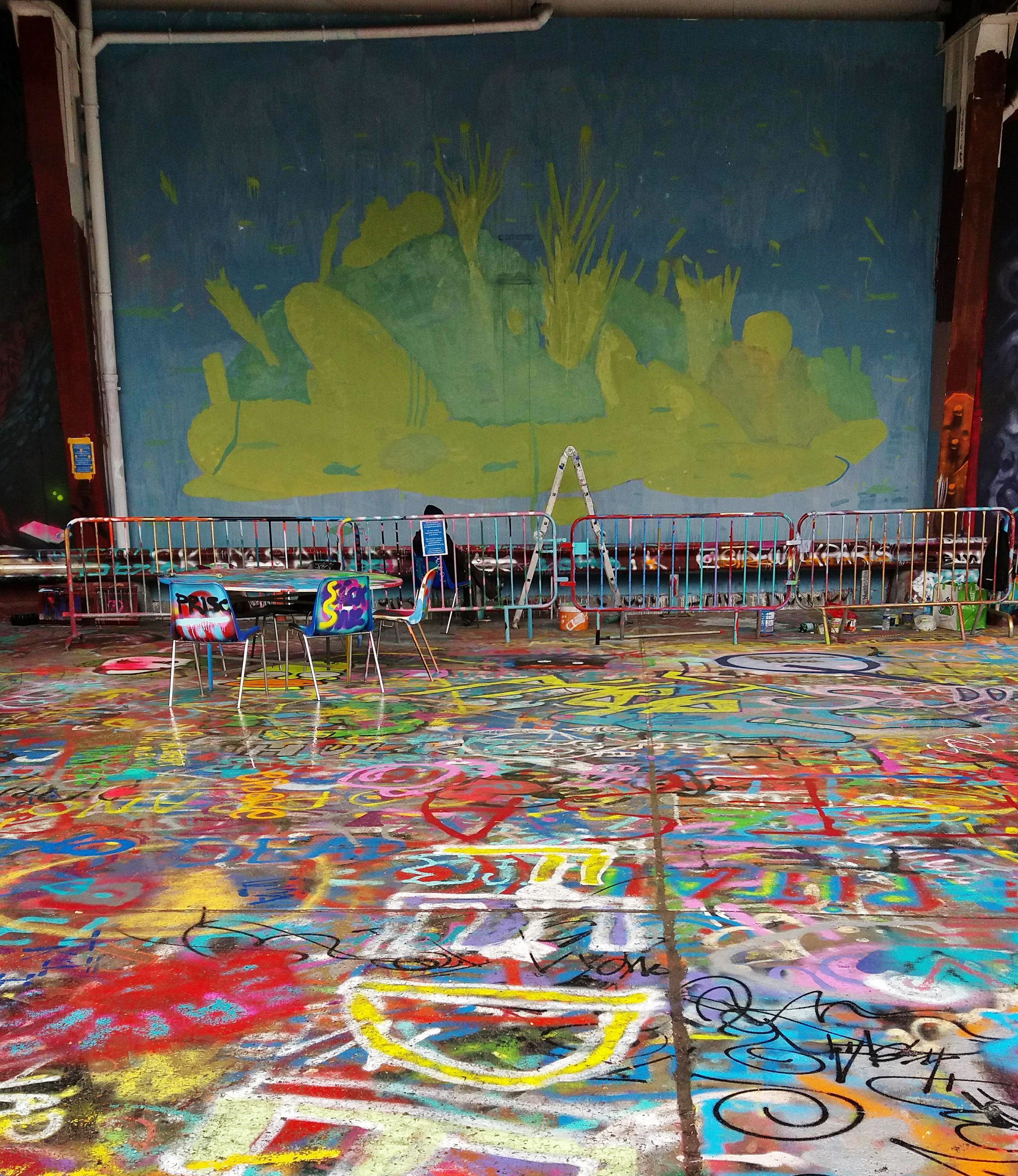 24169316_1421393144582373_997020730_o