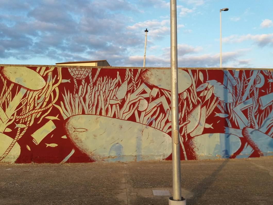 25035119_1430424970345857_429202578_o