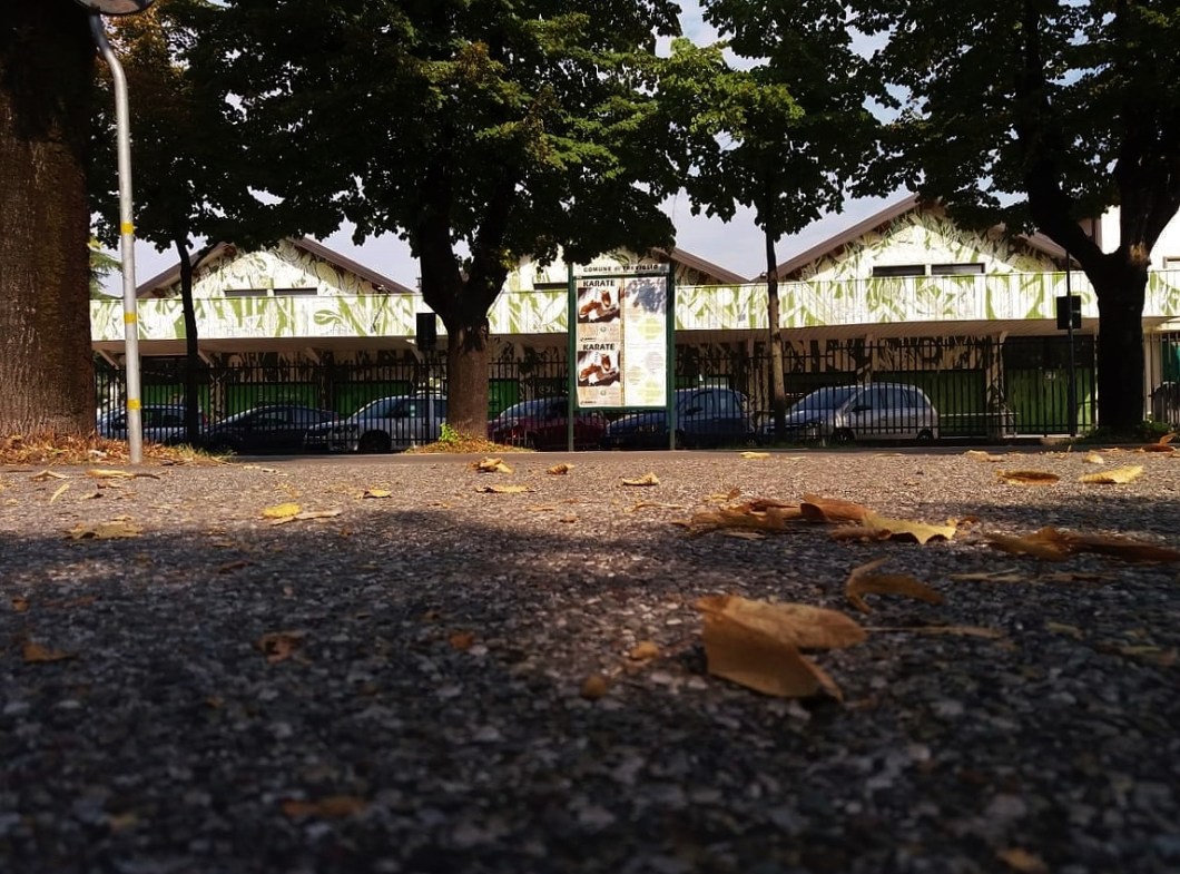 42195089_266065957368110_2429895507401768960_n